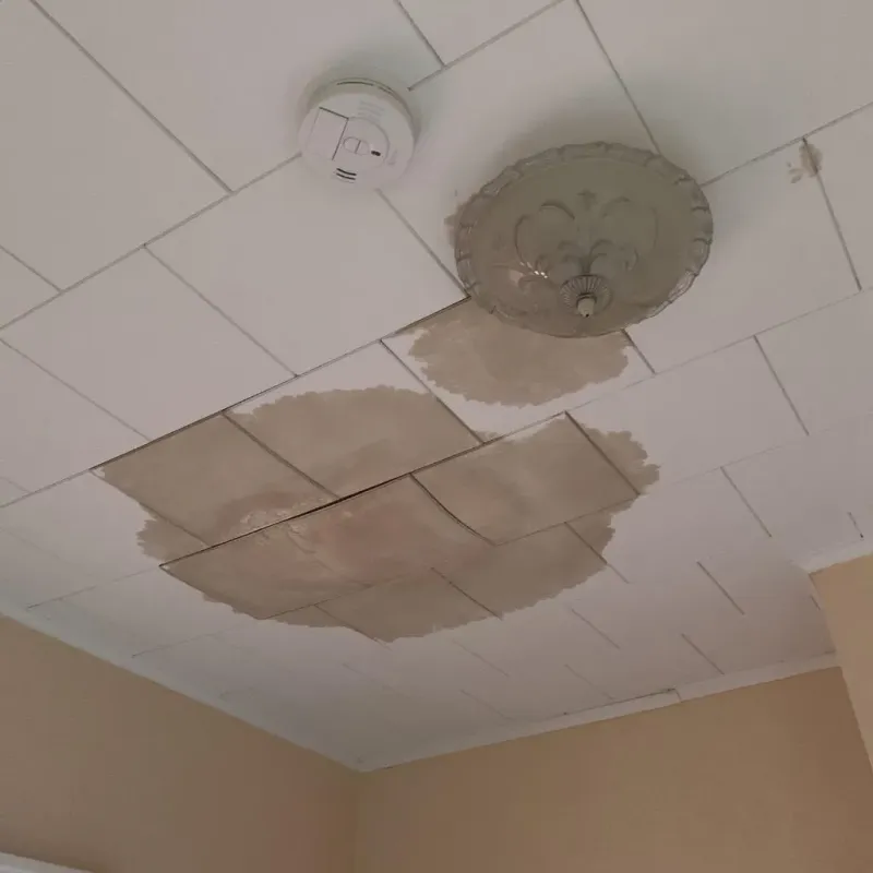 Ceiling Water Damage Repair in Roberts County, SD