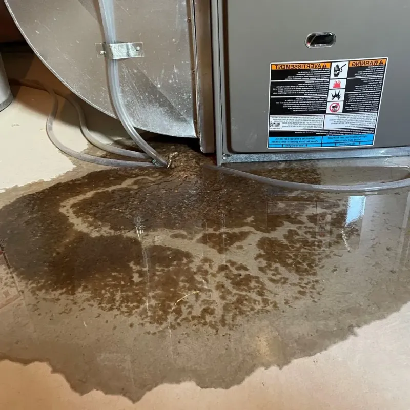 Pipe Burst and Leak Restoration in Roberts County, SD
