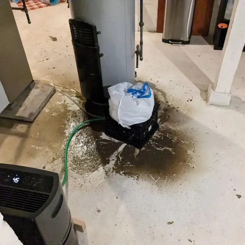 Sewage Backup Cleanup Service in Roberts County, SD